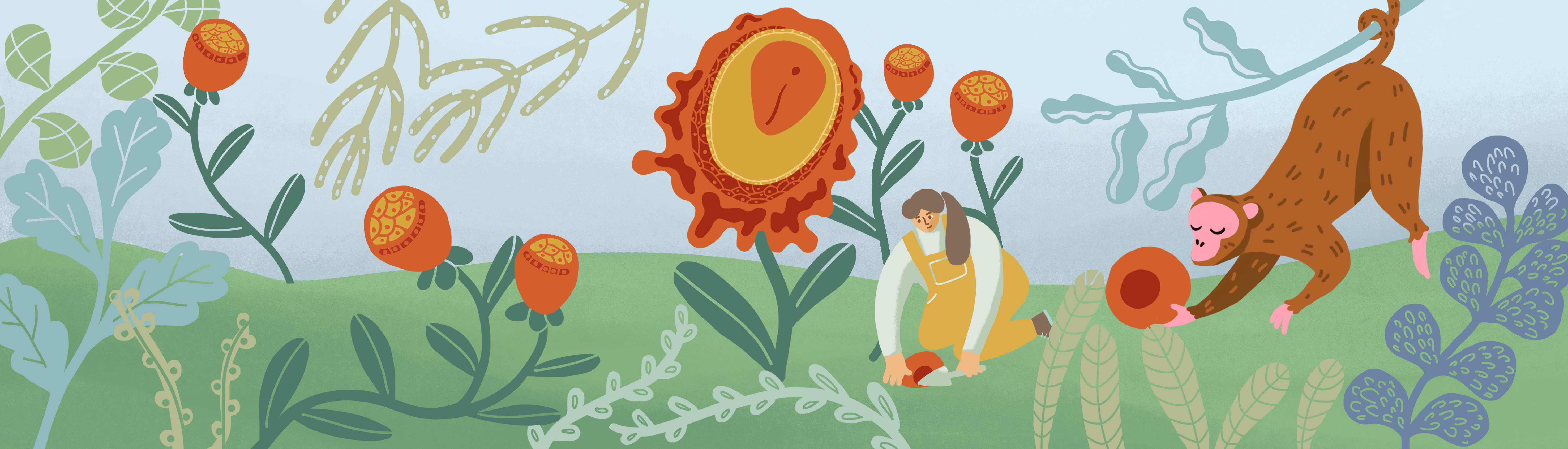 腦智卓越中心利用胚胎干細(xì)胞建立非人靈長(zhǎng)類(lèi)類(lèi)胚胎模型